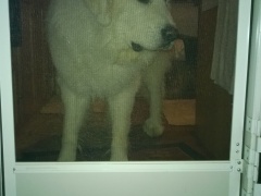 WP_20151113_19_34_06_Pro