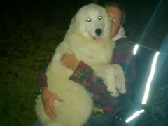 WP_20151113_19_34_30_Pro