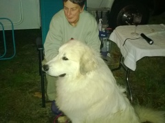 WP_20151113_19_35_00_Pro