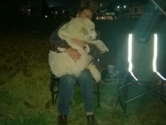 WP_20151113_19_35_13_Pro