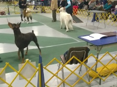 WP_20151114_17_02_44_Pro