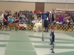 WP_20151114_17_04_30_Pro